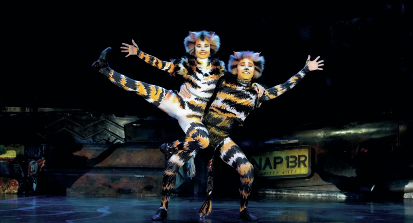 GEFCATS3 Haupt_C_alessandro-pinna - Musical-München-Cats